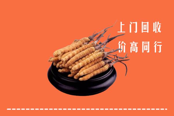 高价求购：上饶广信区回收散虫草
