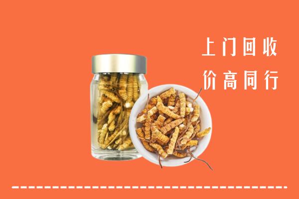 上饶广信区回收冬虫夏草