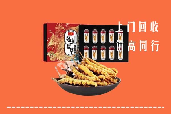 上饶广信区回收虫草